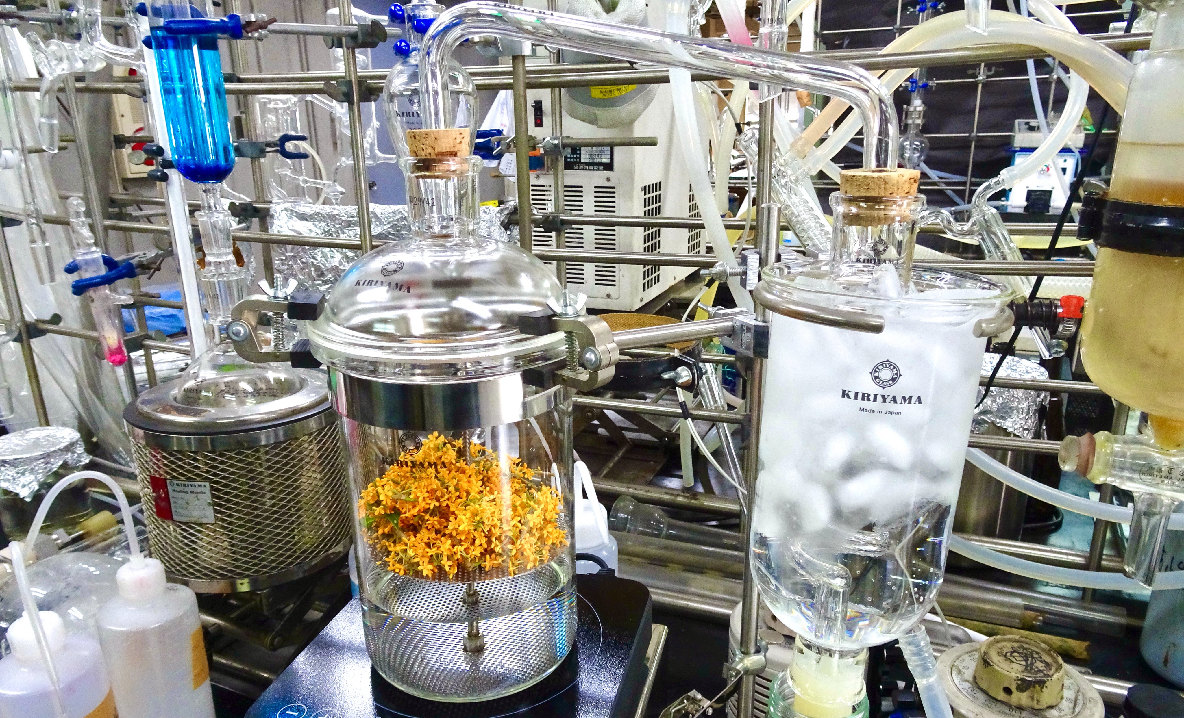 桐山製作所 香油水蒸気蒸留装置 RA-013H 【公式通販】