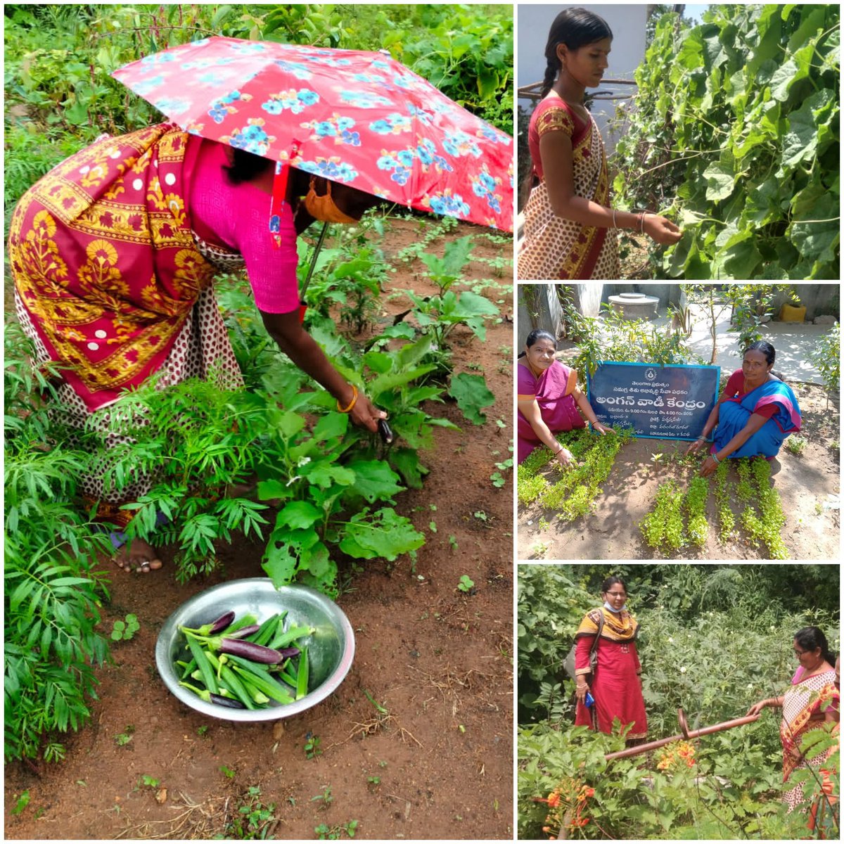 WCDWARANGALR's tweet photo. #POSHANMaah2021 : Community Based Events, Establishment of Nutrigarden, Growth Monitoring Drive, Yoga for Good Health,School Based Activities, Poshan Mela's -  360° awareness session conducted
@PMOIndia
@Collector_WGL 
@arjandewagt 
@WCDTelangana 
@MinistryWCD 
@SmitaSabharwal https://t.co/dgTzHRm9cH