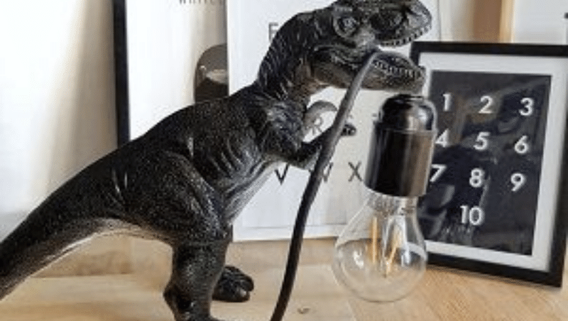 De jongens kun je geen groter plezier doen dan een dino kamer voor ze te maken. Ook hier kun je weer over de top gaan of gewoon subtiel een paar gave dino accessoires aanschaffen of zelf maken. Deze dino lamp vind ik zelf ook geweldig. Jij ook? 
boyslabel.com/de-leukste-jon…