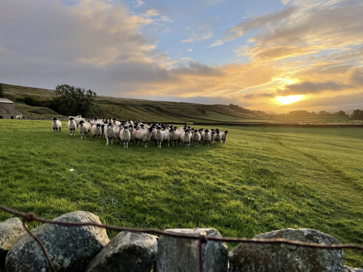 yorkshire_dales tweet picture