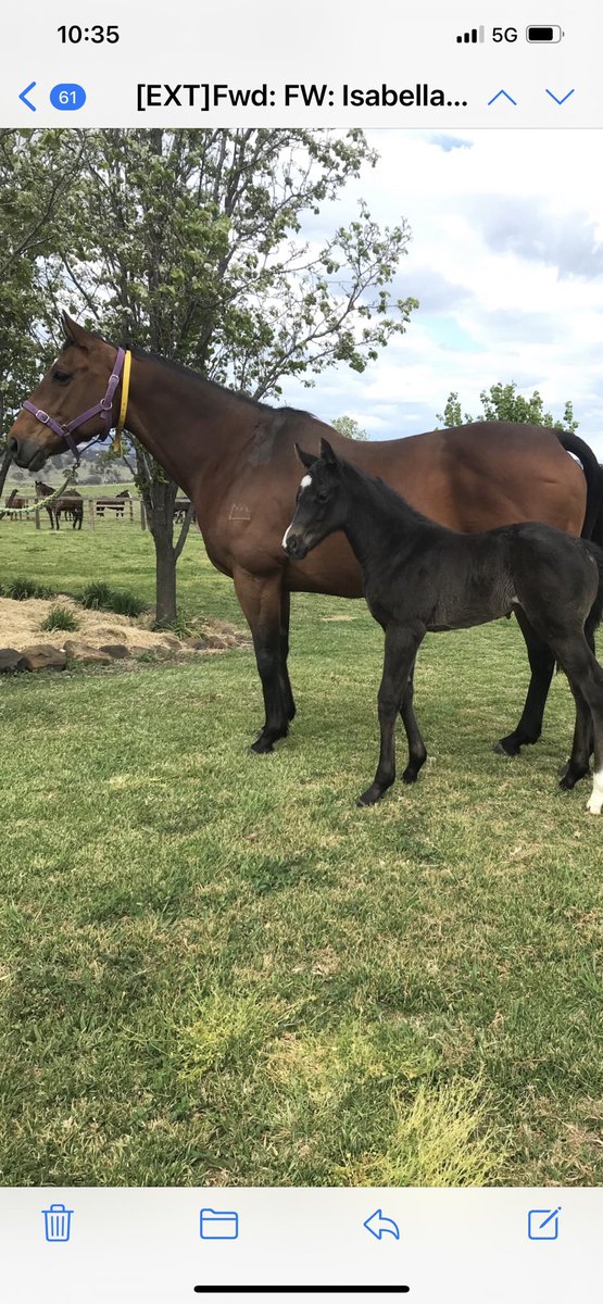 Brett Todd tweet media