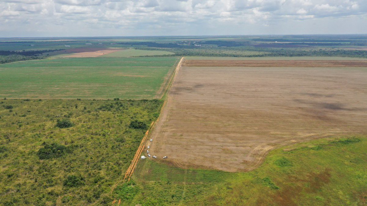 Con el uso de la tecnología 
<a href="/CORMACARENA/">Cormacarena</a> continúa control y vigilancia a predios de comunidad menonita en Puerto Gaitán, el uso de Drones permitió percatar si continuaban las afectaciones al ecosistema del lugar, gran trabajo de la Corporación ambiental del Meta.