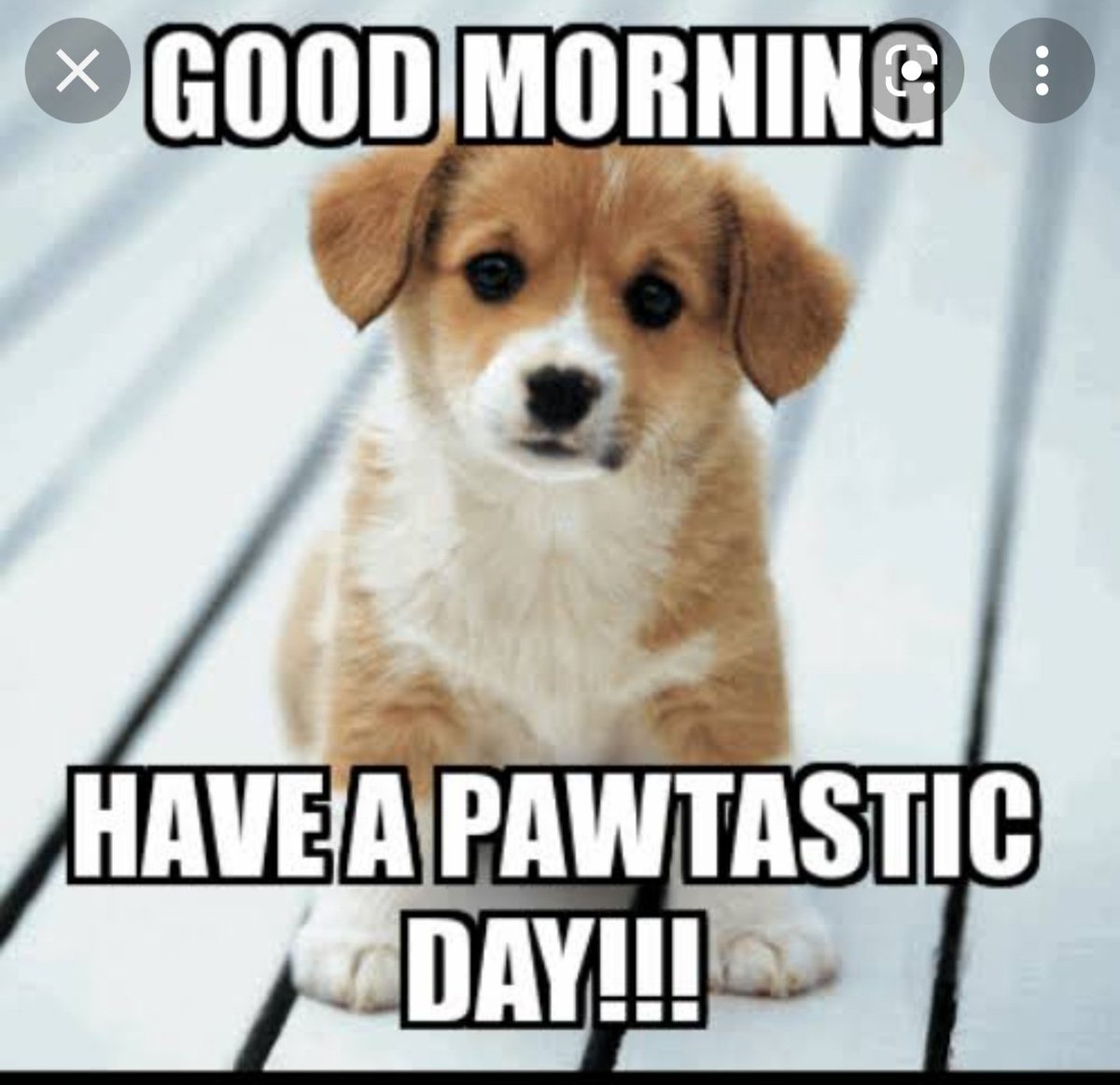 Good morning ...