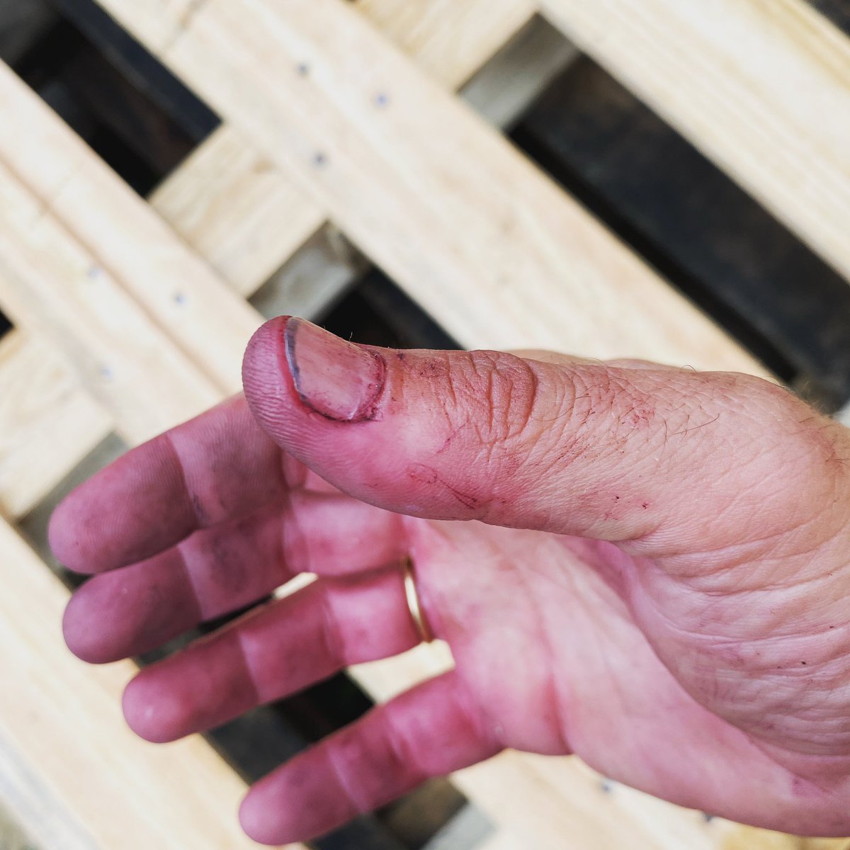 Fin…..#distinto en casa…..el año que viene más y mejor…..#adegascastrobrey . .#vendimia2021 #harvest2021 #nicetomeetyoucastrobrey 😜😻😻😻... . ..ワイン #wino #вино #winemaker #lovewine #winelover #subzonadelrioulla #albariño #riasbaixas  #galiciacalidade #vinoblanco