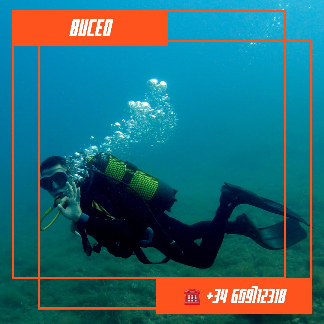 @aton.sd tweet media