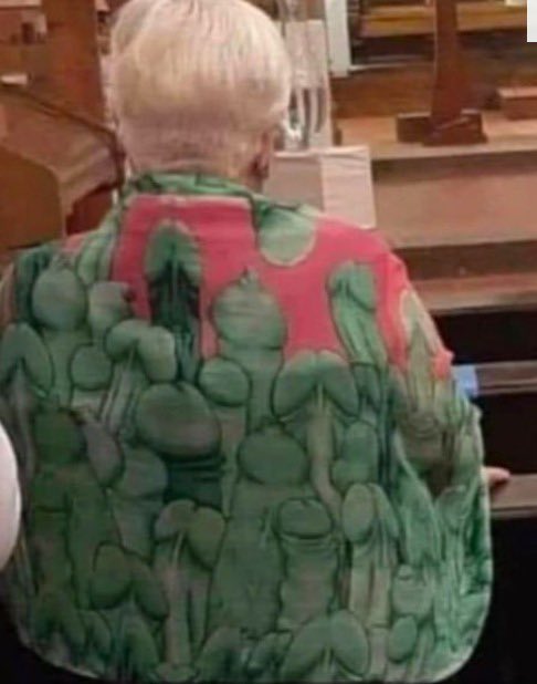 Aww this is the poor little Nan who wore this interesting blouse to church🥺🤣

She must of thought it was plants? Maybe? Who knows😂🤷‍♀️