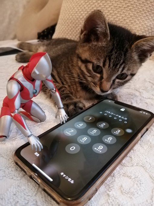 画像まとめ Ultraman 5ページ目 アニメレーダー