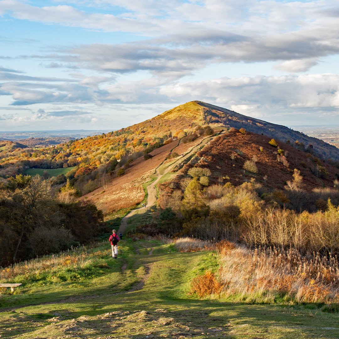 English Provender tweet media