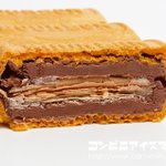 ブルボン『ルマンドアイス チョコレート』!サクサクのミニルマンドが入っている!