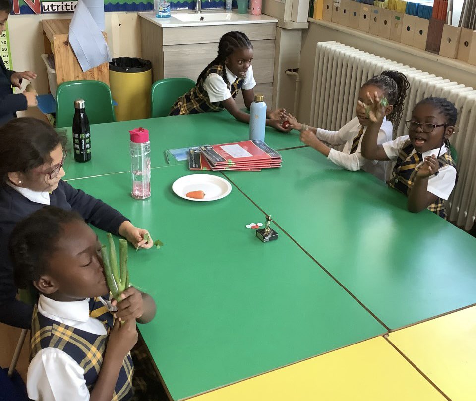 ColerainePark's tweet image. In Science this term, our topic in 2 Browne is ‘plants and their habitats’. Our scientists learned about the different parts of plants and their functions and had fun investigating various fruits and vegetables and identifying their stems, leaves and roots! 

#HPAPLScience