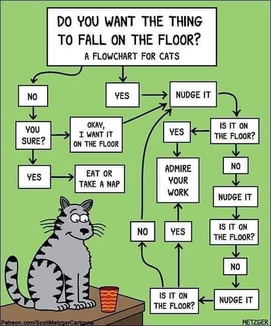 2Tone4Real's tweet photo. 🐈 😉 #DaddJokes https://t.co/yK1ECxt4QY