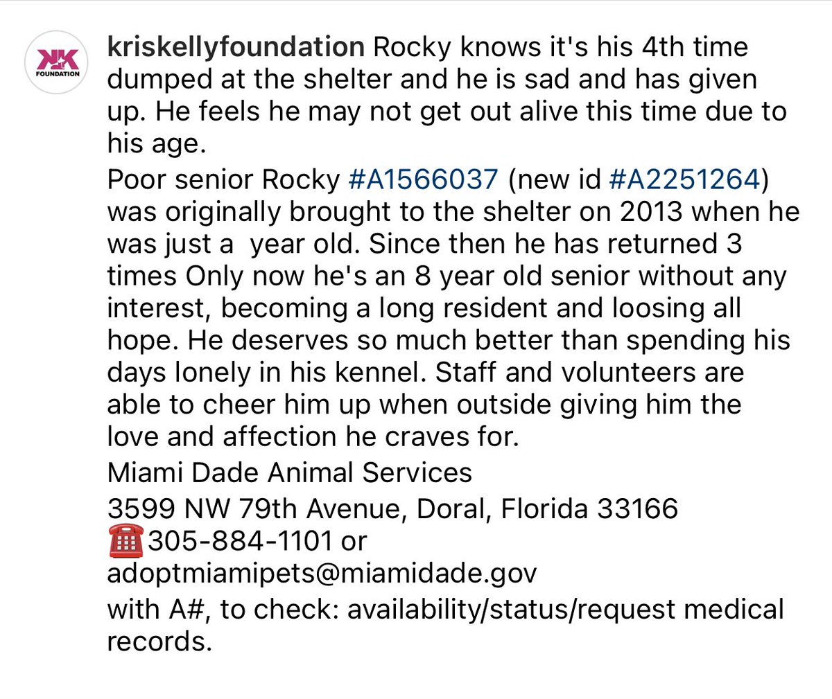 🆘TRANSPORT NEEDED🆘
🆘EUTH LIST🆘

Rocky #A2251264 #MDAS #Miami dumped 4 times,knows this is his last chance! He is sad &giving up 

@kriskellyrescue has family in #NewJersey but needs #dogtransport 🙏🏼 @PilotsNPaws @PilotTroy ANY HELP GREATLY APPRECIATED🥺
#rescue #dogrescue