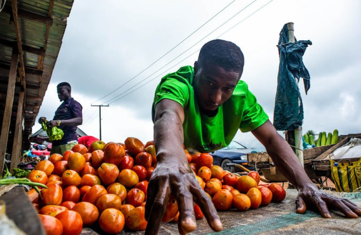 Clive Reffell tweet media