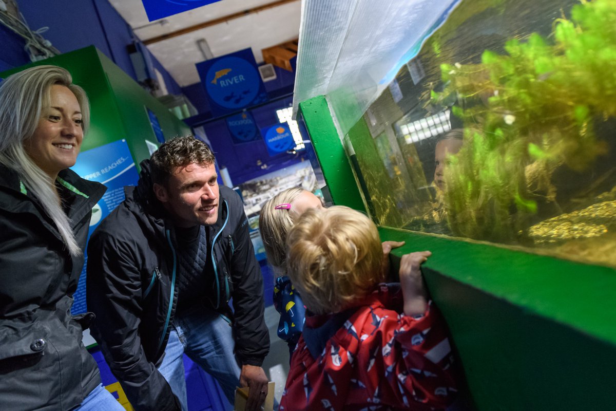 Great to see so many lovely visitors this week. With the weather turning somewhat more autumnal, why not come and see and learn about some of the amazing underwater wildlife from our country and coastal habitats. We're open every day except Fridays from 10am #ilfracombe #aquarium