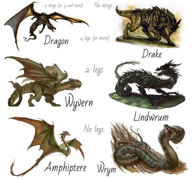DioGomes13's tweet photo. I do not think there are any rules in fantasy about races, subraces and names. But from all of these which one is your favourite? Mine is the tiny Amphiptere.
#fantasy #Dragon #Drake #wyvern #lyndwrum #amphiptere #wrym #DnD https://t.co/eT7iyqwom9