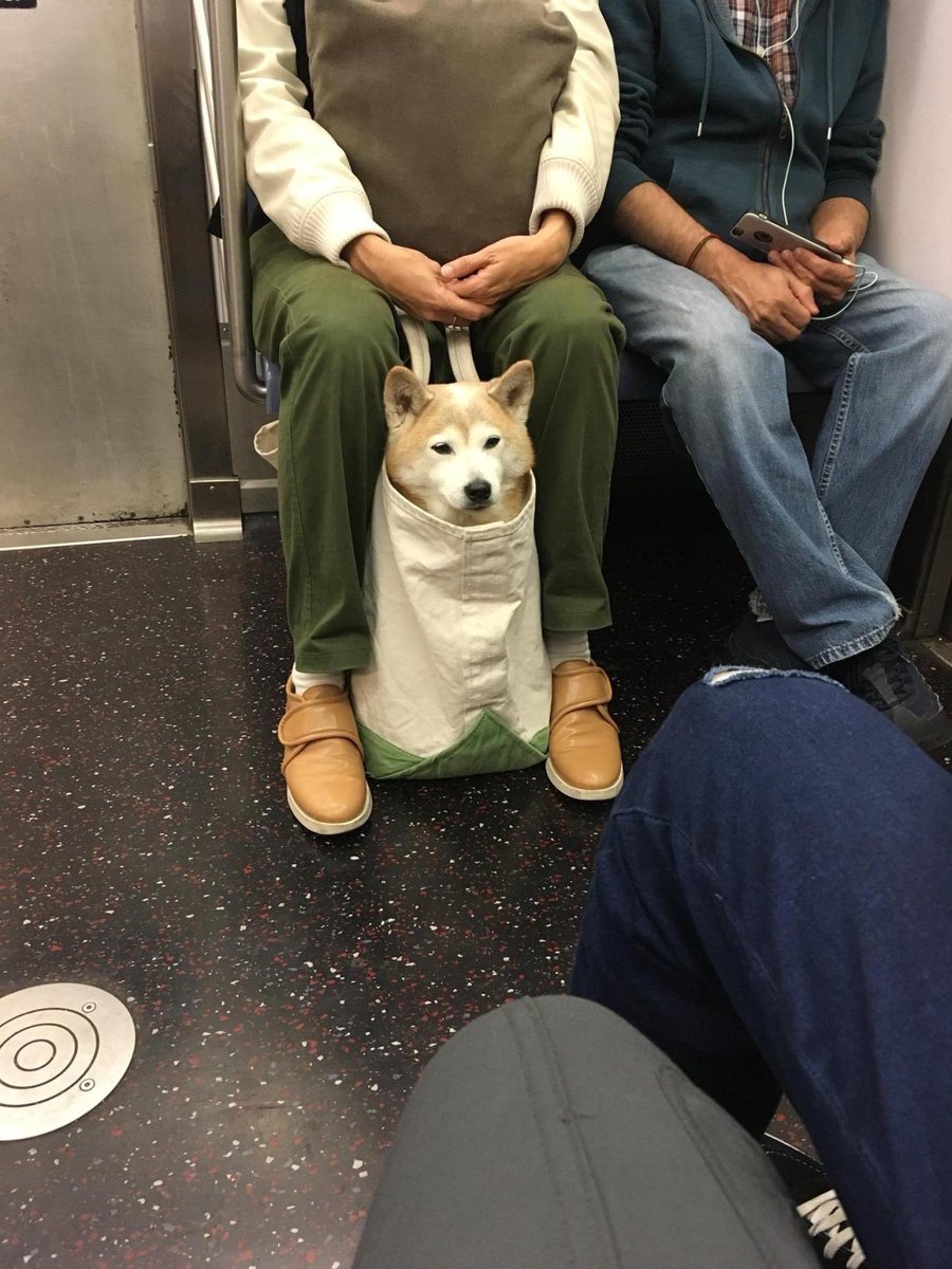 白空 (@schwarz_lanze) / Twitter