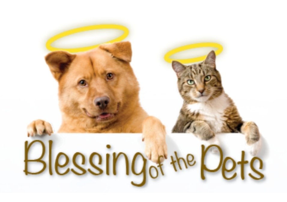ststephensfargo's tweet photo. Be sure to join is for the BLESSING OF PETS at 1:00 p.m. this Sunday at St. Stephen's. https://t.co/NlFh2dp0wM