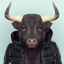 Lenn ökküzz gader hökmümüz yok şu dünyadaa..oyy kocaa öküzz oyyy..nilerrr ettinn  baaana nilerrr ettinn oyy kocaaa öküüzz oyyy nilerrr ..
😂😂😂😂😂😂😂🤪🤪
<a href="/Barclays_AA/">Barclay's</a>