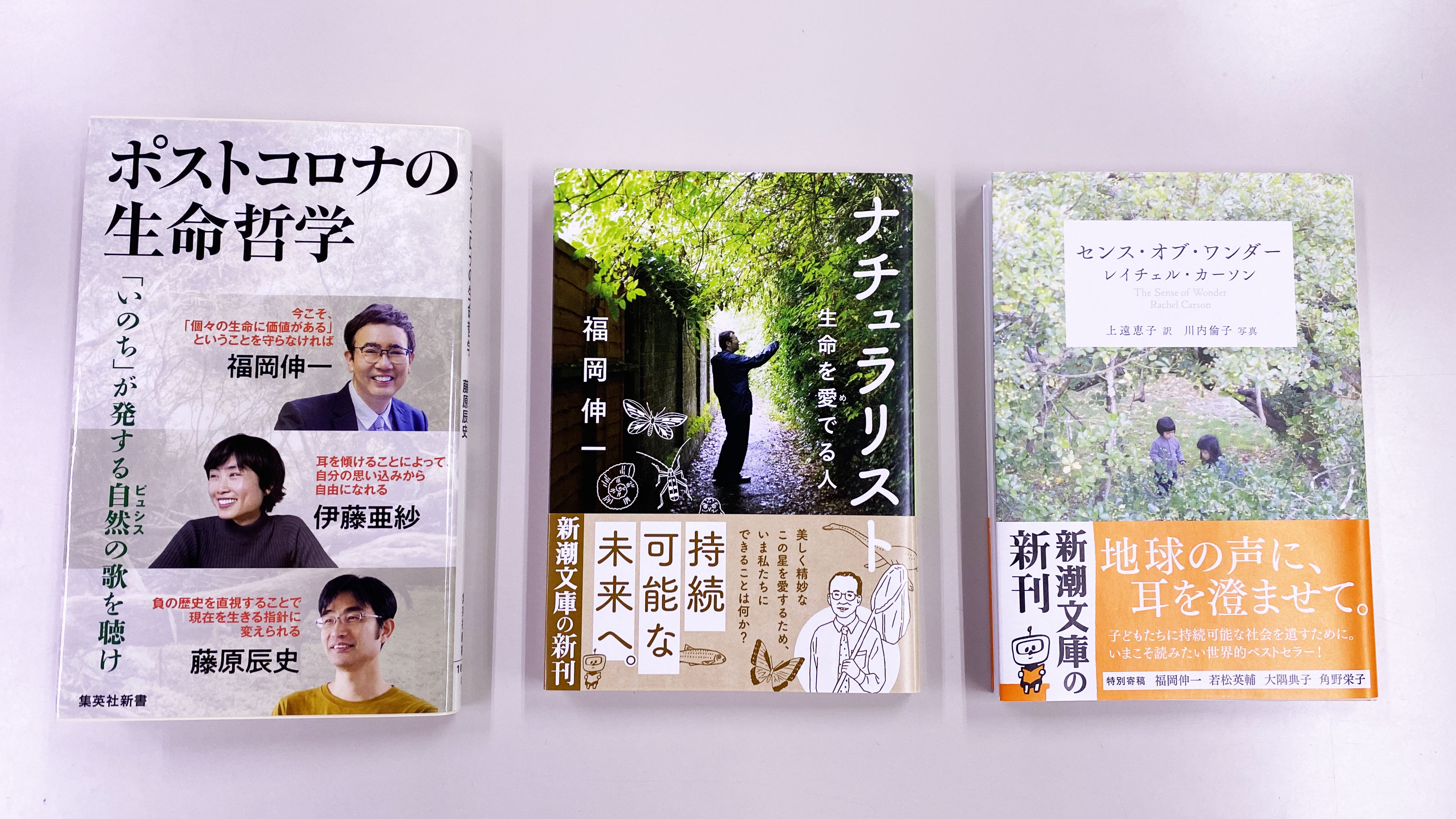 福岡伸一の知恵の学校 Schola Sapienti Twitter