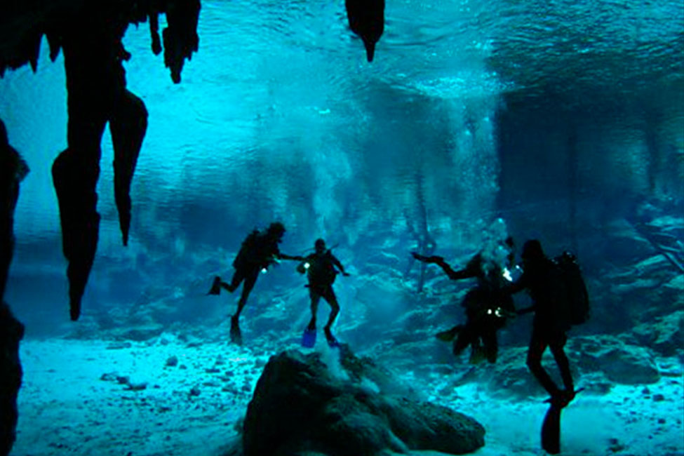 DeepMexico1's tweet image. Ocean dive mexico

Ocean dive Mexico is a great way to experience the underwater kingdom. 

&amp;gt;&amp;gt; deepmexico.com
&amp;gt;&amp;gt; info@deepmexico.com