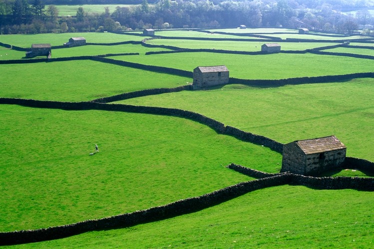 Champagne Molotov ♠️🧱 tweet media