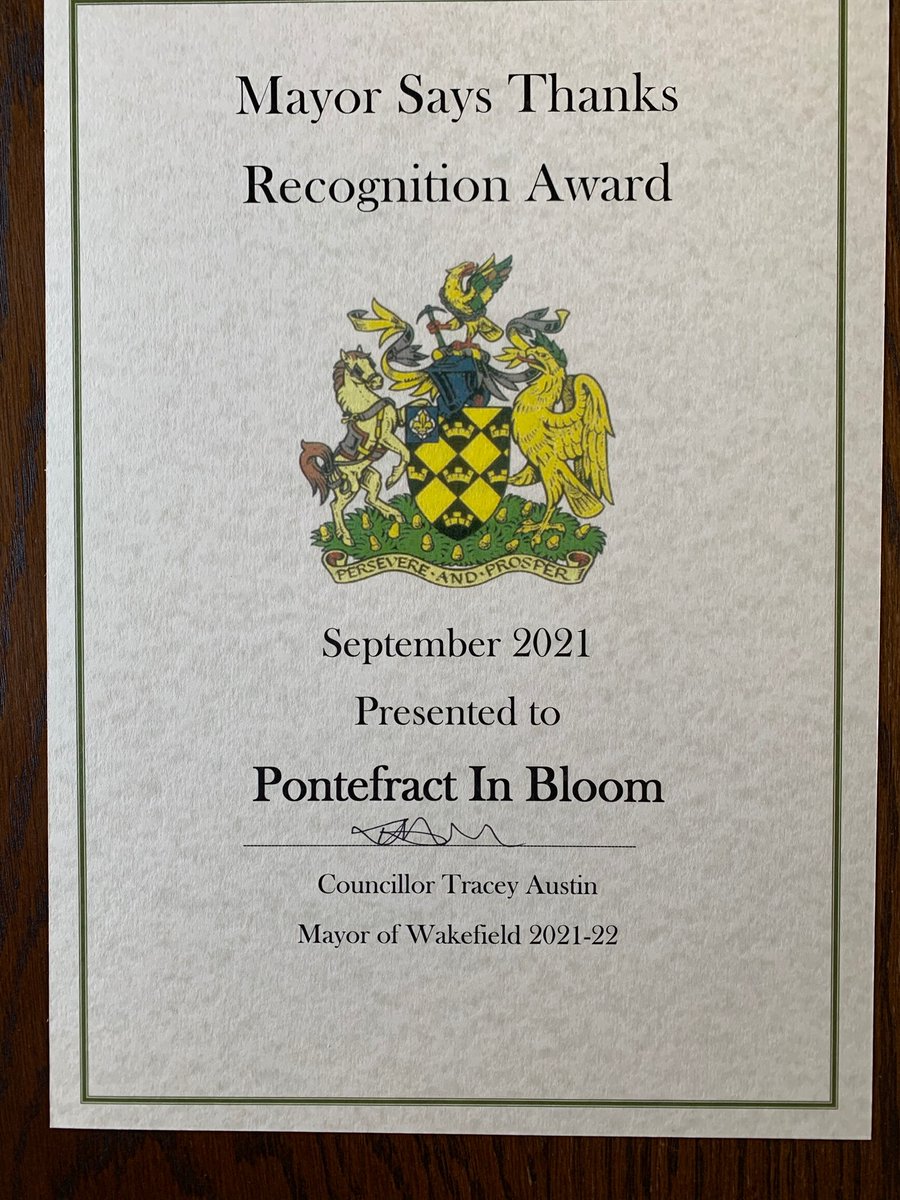 pontinbloom 🌲 tweet media