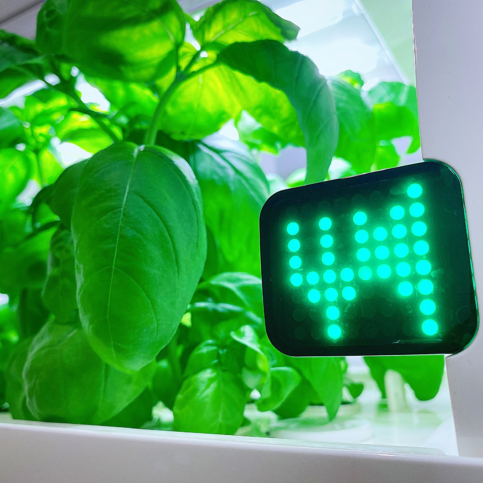 foop - スマート菜園､はじまる。 on Twitter: 