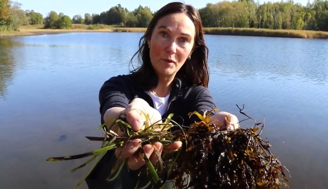 Hege Gundersen (@hgunda) on Twitter photo Er du interessert i blå skog eller lurer på hva det er for noe? Heng med på Blå skog-uka 16.-18. november 2021 youtu.be/kvJv3unjYzs via <a href="/YouTube/">YouTube</a> Er du interessert i blå skog eller lurer på hva det er for noe? Heng med på Blå skog-uka 16.-18. november 2021 youtu.be/kvJv3unjYzs via <a href="/YouTube/">YouTube</a>