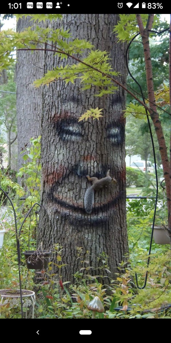 I said ' USE A TISSUE! ' Or at least use a branch to cover your nose... #anthropomorphism #treeart #naturecreatures #supernature #nyartist