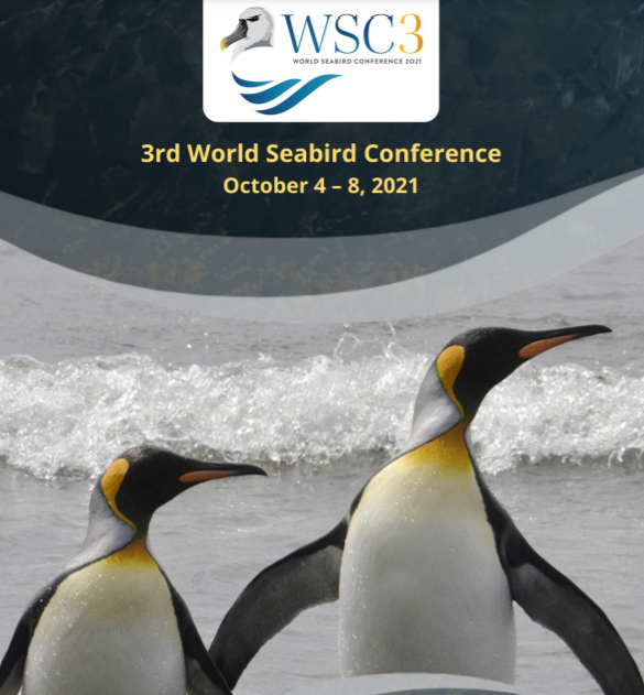 The #WSC3 program is now available on our website! Now you can plan which symposia, workshops, individual talks, posters &amp; more, that you want to see: worldseabirdconference.com/program/ #seabirds #ornithology