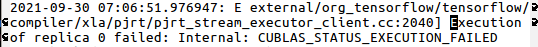 AlbertVilella's tweet photo. Starting the morning with this! If there are any #NVIDIA #CUDA experts reading this, do get in touch! #Alphafold2 #Ubuntu #ProteinFolding #CUBLAS #TensorFlow #DeepMind https://t.co/pllUMiyNwk