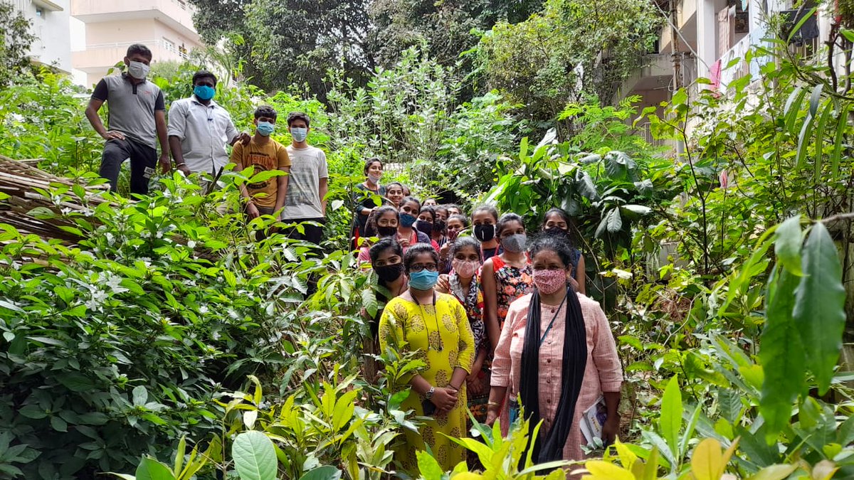 Preparations for our 301st Green Sunday started. 
Our student volunteers are selecting the saplings.

We are planting 1200 saplings of 301 species on 3rd October.
Pl register adamyachetana.org/301-green-sund… 
Place :
goo.gl/maps/cvoBNZYgy…

8.30am or 11.00am