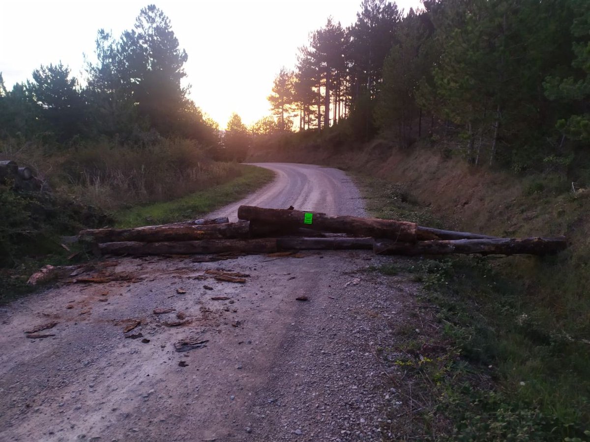 Accionaren parke eoliko batzuen bide sarrerak  enborrekin edo harriekin moztuta agertu dira gaur.
Accionaren haize erroten mantentze lanak egiten dituen Erom-eko langileak 10 eguneko greba egiten ari dira, Nafarroarako hitzarmen duin propio baten alde. #EROMborrokan