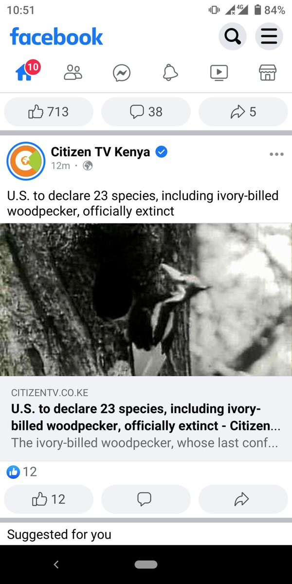 Kelvin Mungai tweet media