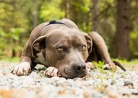 The only feeling of real loss is when you love someone more than you love yourself.