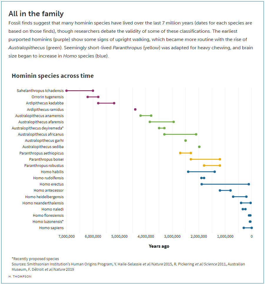 astropierre's tweet photo. Cette infographie me donne toujours autant le vertige.

Elle est issue de cet intéressant article récapitulatif sur les découvertes qui ont jalonné la compréhension de l'évolution de ce bipède qu'on appelle aujourd'hui humain :

https://t.co/31zcUPZJoU https://t.co/UpfwEoJQY3