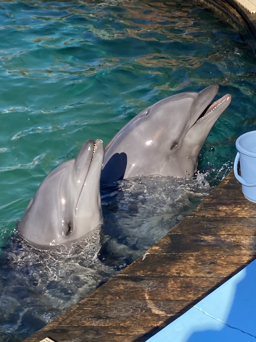 アザーズ ロケ地 撮影秘話 最新情報まとめ みんなの評価 レビューが見れる ナウティスモーション