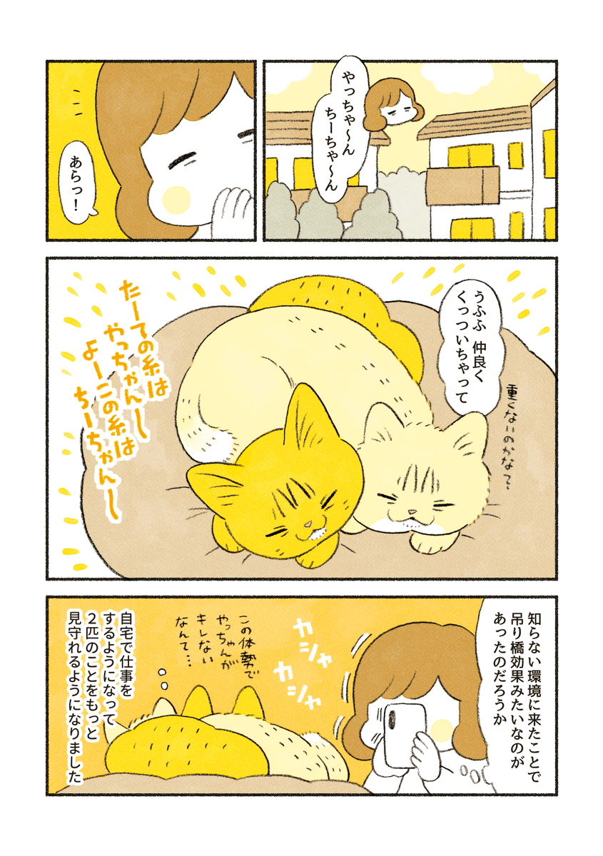 ちーちゃんのペロ待ち 