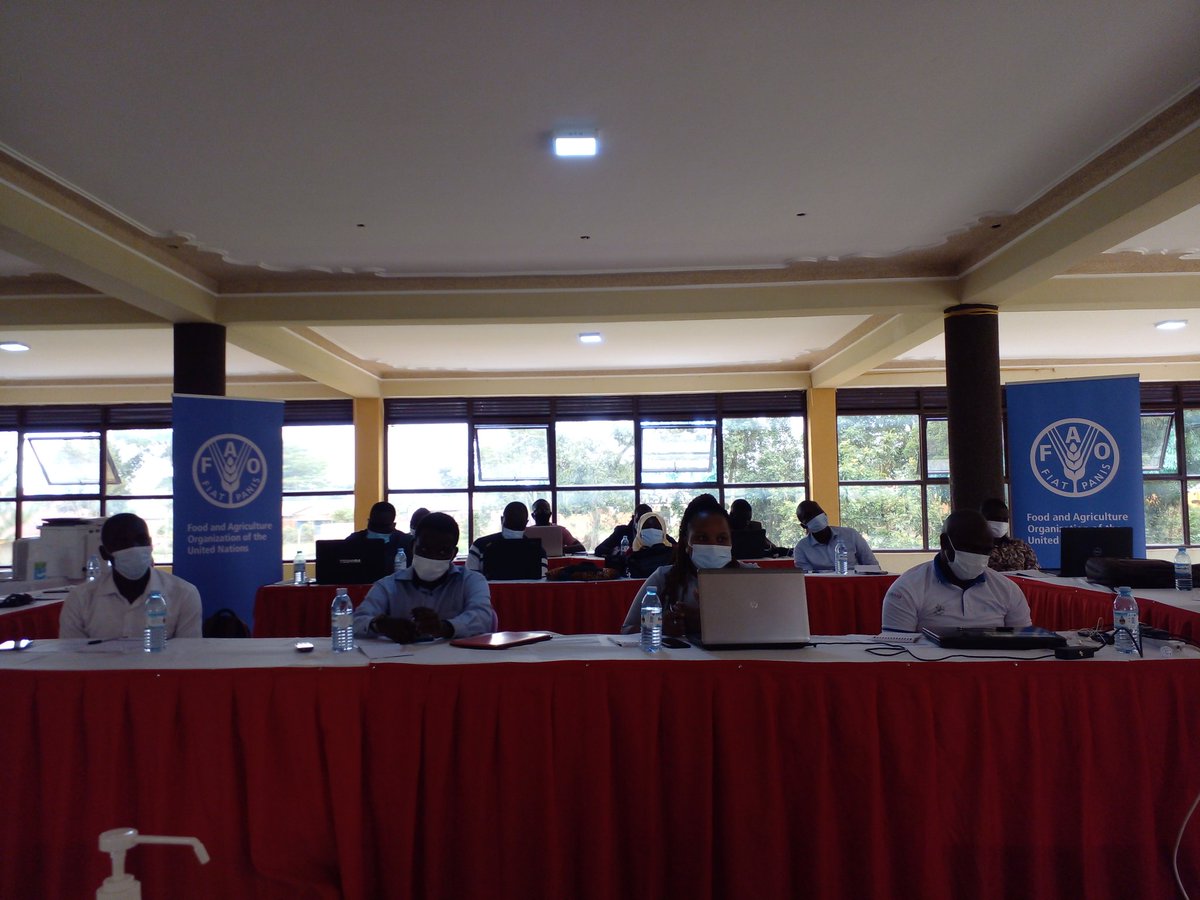 BebayCharles's tweet photo. First day of the second in-country #ISAVET training in Luwero. The training will increase the pool of highly professionals to address emerging and re-emerging diseases. Thanks to #USAID and the #FAOUG team for supporting #ECTAD in Uganda for this great achievement. https://t.co/GHc5jkjfpw