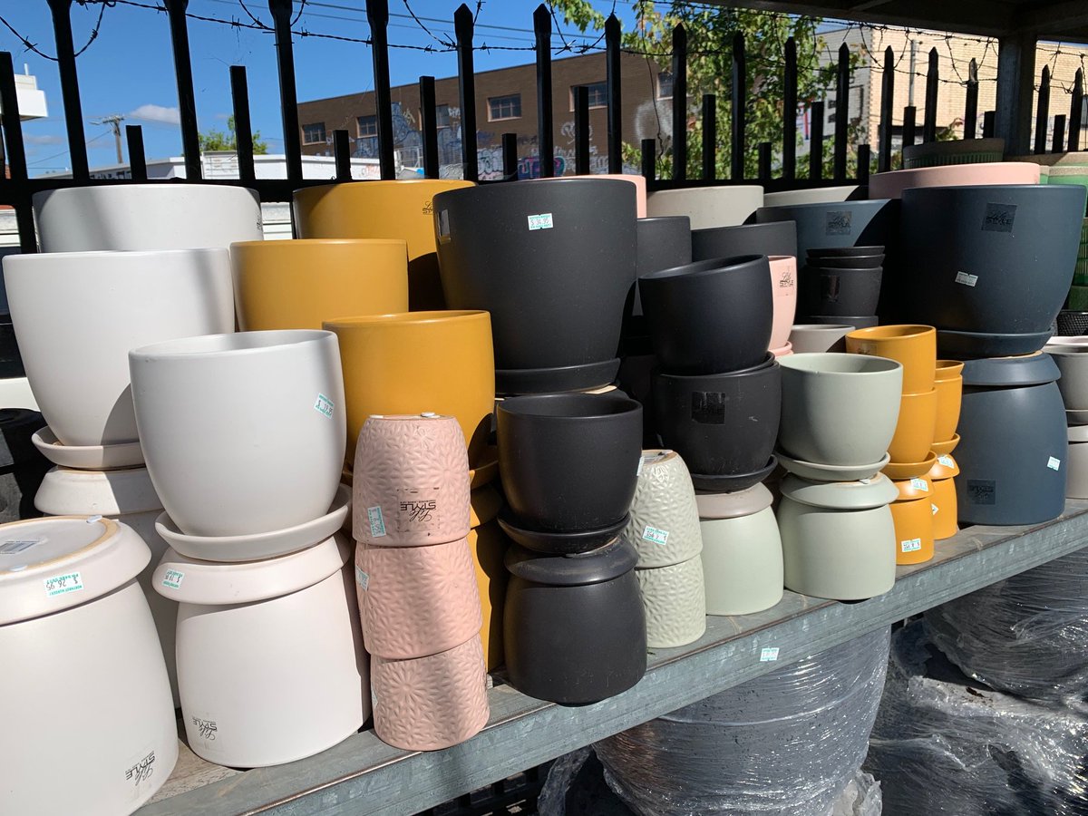 Northroynursery's tweet photo. Northroy nursery is one of the best places to buy plant pots in Melbourne. One can find a variety of pots ranging from Mexican to Glazed pots in our nursery.
https://t.co/dIayEqO7e7
#pots #mexicanpots #ceramicpots #terracottapots #glazedpots #hangingpots #plasticpots https://t.co/QdtjpfGoEh