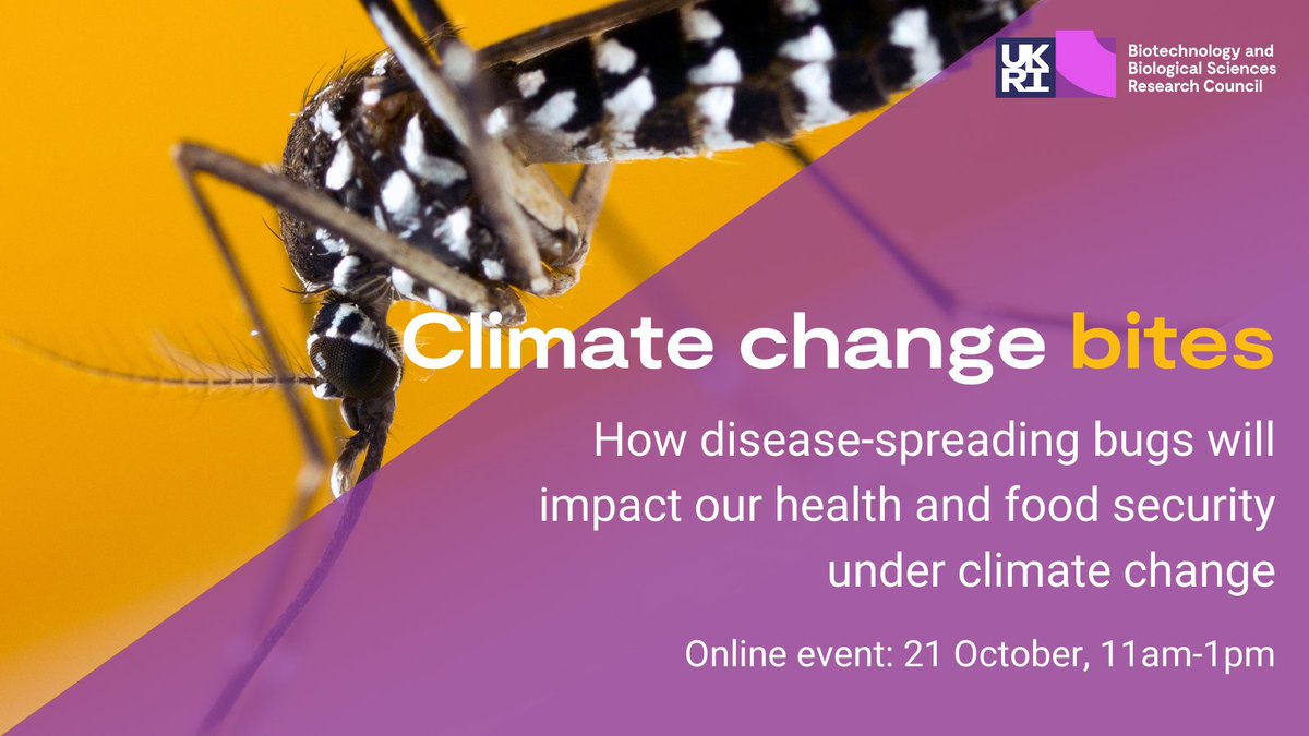 Blackleg_Hub's tweet photo. Visit #ClimateChangeBites, a @BBSRC virtual event exploring the future of diseases spread by insects &amp; ticks and the impacts on our health and food.
21 Oct, 11am-1pm and is open to all.
Learn more and register: Climate Change Bites Tickets, Thu 21 Oct 2021 at 11:00 | Eventbrite https://t.co/tidOlNx1hb