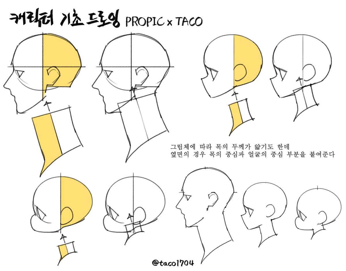 그림체에 따라 목의 두께가 달라지지만 옆면은 목의 중심과 얼굴 중심을 맞춰 이어준다 