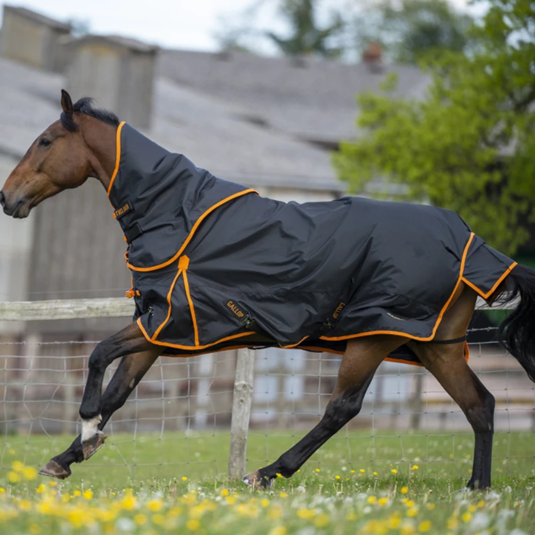 EquusEngland's tweet photo. Keep your horse warm, dry and comfortable in the bestselling Gallop Trojan 100g Turnout Rug with a detachable neck! ☔🐴Ideal for wet autumnal weather. 

Shop Now - https://t.co/AaozMbOOH2

#equus #equusengland https://t.co/xzs7wMS7xV