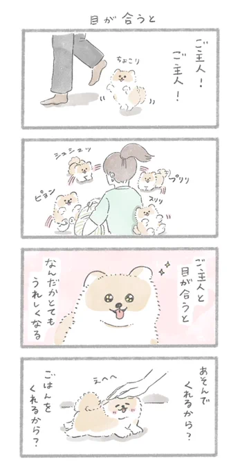 「目が合うと」
#こんにちはいぬです 