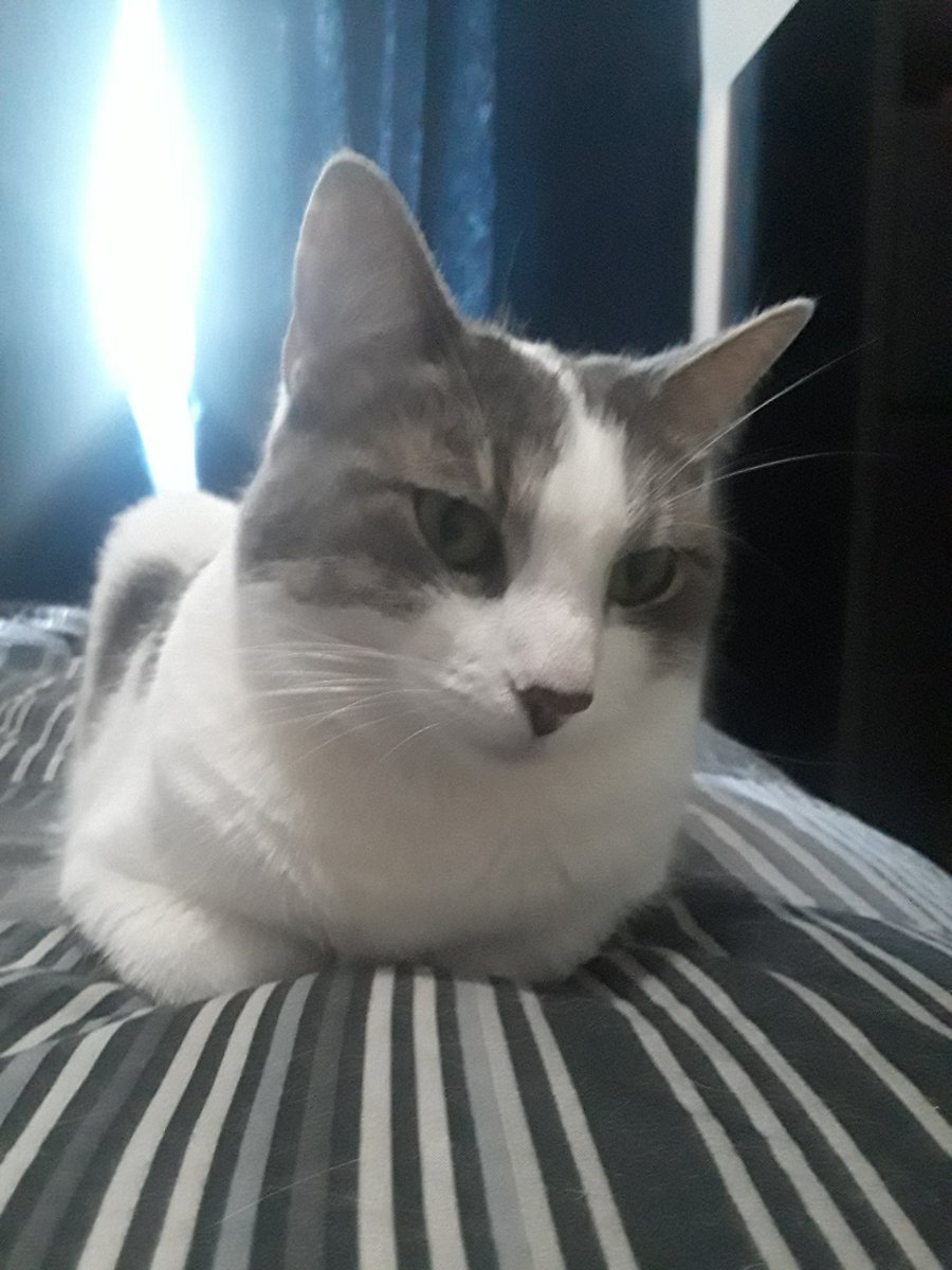 SweepPlaysGames's tweet photo. Its my girls 3rd birthday today and stuck in this god damn hospital away from them Biblethump https://t.co/EBZxe5Ymea