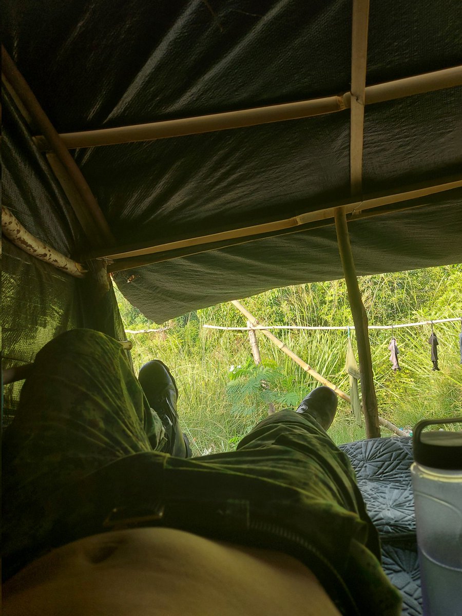 MLispu's tweet image. Sasamahan mo ba ako kahit mainit . malamok walang ligo 😅😇 . ?

#Bundok
#Bisoc