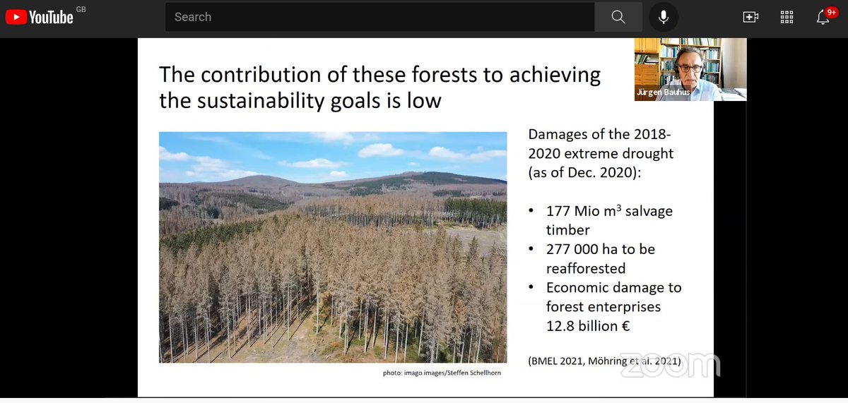 "The goal is to enhance forest resilience &amp; adaptive capacity, through *active* forest management because in the situation we are in... we cannot assume forests will adapt "naturally" to the rapid rates of change"
- Jurgen Bauhus #ClimateSmart2021