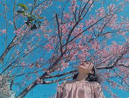 Babineau Wiser (@babineauwiser) on Twitter photo 