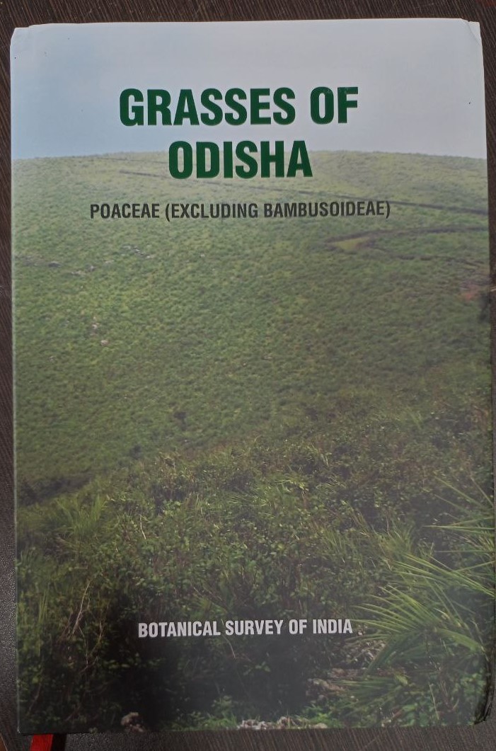 AlokChorghe's tweet photo. I am happy to share this news that the book “Grasses of Odisha” is now available for sale in the Botanical Survey of India and its regional centers. In this book, we have documented the Grass diversity of Odisha state. https://t.co/TG9qSIgRqn