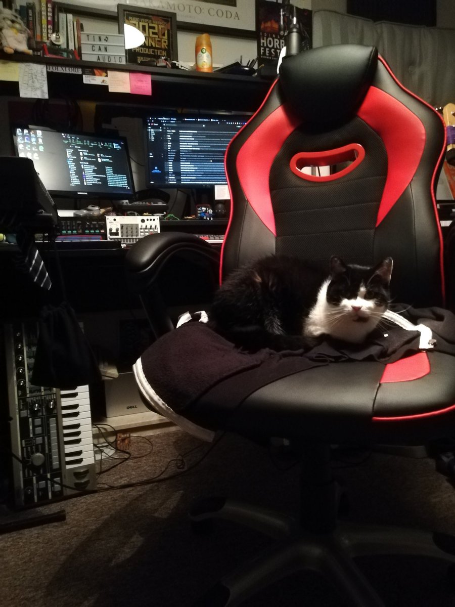 middle_below's tweet image. We're aware that links to our transcripts are no longer working, we're working on getting this fixed.

As you can see, our tech team are working as fast as they can